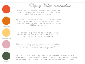 Styling guide about colors, message me if you want me to send you the text